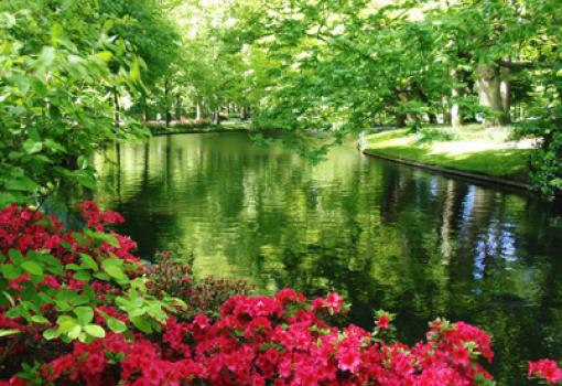 Los canales de Holanda en Primavera son espectaculares